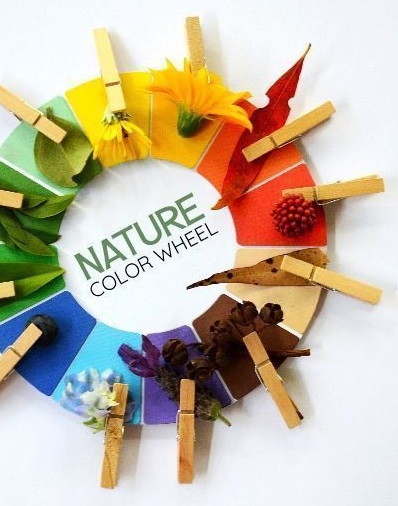 Roue des couleurs pour l'observation des couleurs dans la nature