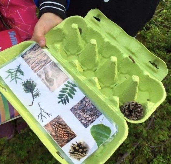 Chasse aux trésors avec une carte d'observation et une boîte à oeufs pour ranger les trouvailles des enfants.