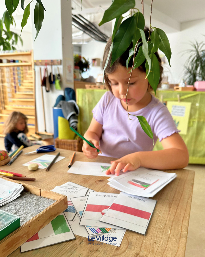 Enfant de maternelle concentrée sur le travail Montessori des drapeaux, une activité culturelle qui soutient l’éveil au bilinguisme et à la diversité dans une classe Montessori.