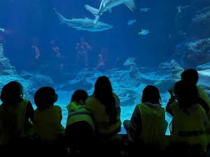 Centre de loisirs Montessori Castelnau-le-Lez