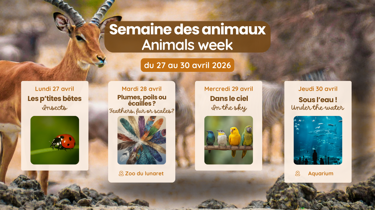 Programme Semaine des animaux